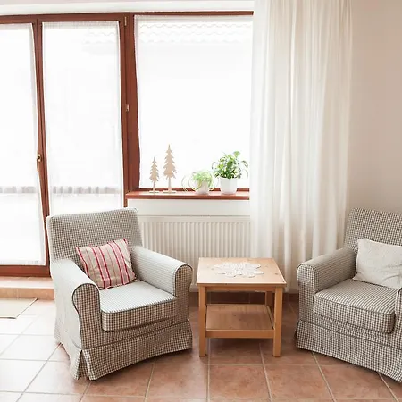 Zlty Dom Apartment *
