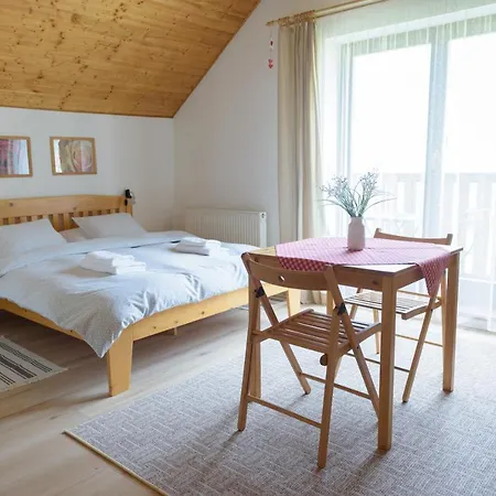 Zlty Dom Apartment